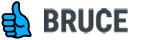 AskBruce.ai