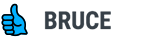AskBruce.ai